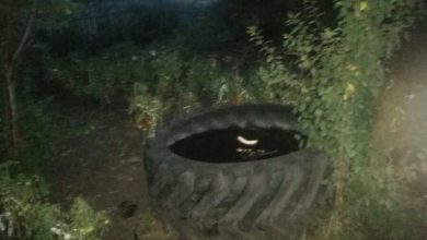 Фото - В Татарстане полуторагодовалый мальчик утонул в покрышке от трактора